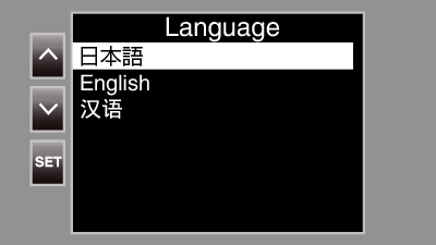 C8C SET Language